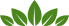 Maple Mart Inc.